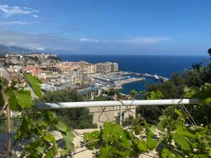 Appartement 3 chambres 130 m2 vue mer avec piscine Cap dAil Monaco