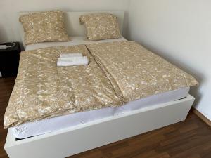 Schöne 2 Zi Whg MG Altstadt