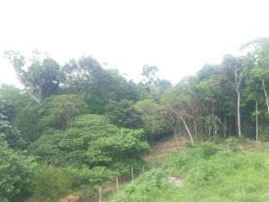 Casa em vila próximo do aeroporto ideal para descansar no intervalo de conexão entre vôos