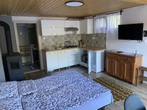 Studio Apartment - 普拉伊德