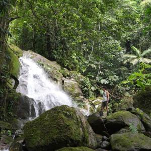 La Merecida, Nature Reserve, Coffee Cocoa Wellness