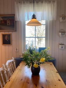 Konstnärsvåningen i Villa Sol