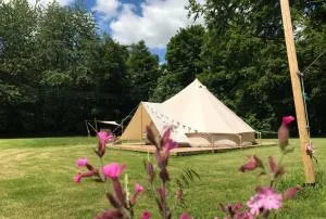 Lilypad - Attlebridge