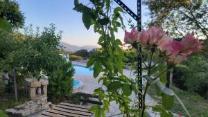 B&B / Chambres d'hotes DOMAINE CARDU : photos des chambres