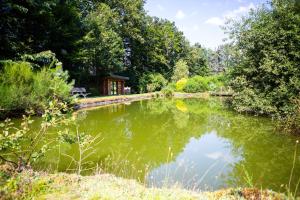 La Cabane de lÉtang du Domaine de la Forestière