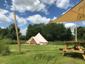 Lilypad, Iris and Bulrush - Attlebridge