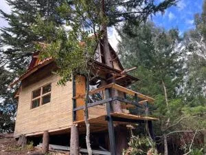 Cabañas Del Árbol n2 - Sesquilé