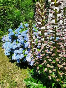 Gîte la petite maison