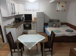 Kiskastély garzon, saját fürdőszobával és saját konyhával - 豪伊杜伯瑟尔梅尼