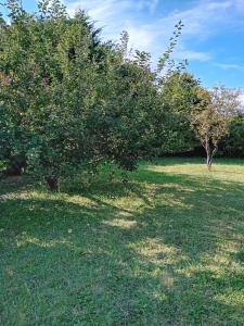 Sejours chez l'habitant Le jardin pictural de Garance : Chambre Double avec Salle de Bains Privative