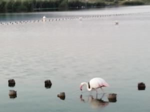 Luis&Susy Home, img15