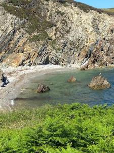 Beautiful Tiny House