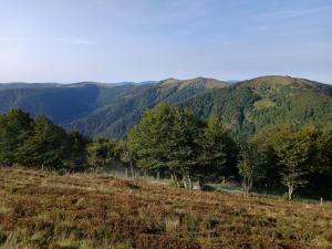 Appartements Aux Jardins d-Argiles : photos des chambres