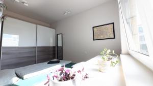 Urban Jungle Retreat