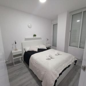 Santurce A1 Centro Wizink Feria Bernabeu Aeropuerto