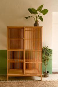 Senglea Jungle Palazzo