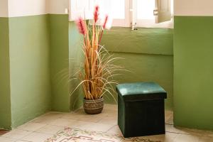 Senglea Jungle Palazzo