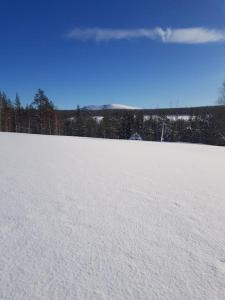 Forest Rangers House, Authentic Lappish atmosphere
