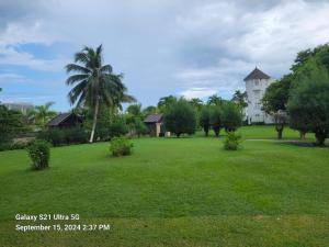 Peaceful Ambiance Awaits at Turtle beach Tower