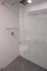 Amazing 3 BR apt in Zona Rosa