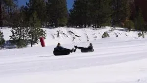 Cocos Cottage Getaway Running Springs - Running Springs