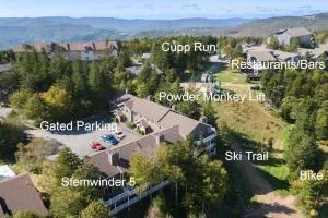 Stemwinder 5 Spacious Townhome Short Distance to Powder Monkey Lift - Durbin