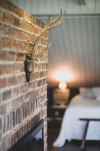 Grooppi, Live in style in the middle of Lapland Ylläs, Äkäslompolo