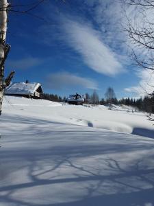 Grooppi, Live in style in the middle of Lapland Ylläs, Äkäslompolo
