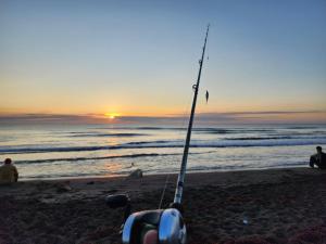 Departamento 7 Tortuguero