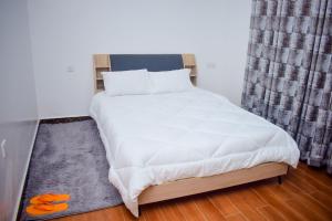 2BR Apartment in kilimani