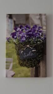 VIOLA apartment Zlatiborski konaci