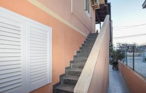 Pet Friendly Apartment