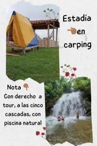 VALLE DE LAS CECROPIAS - Leona