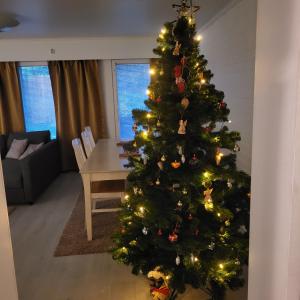 Tilava uudistettu perheasunto