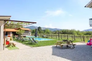 Quintinha do Oliveira - Luzim