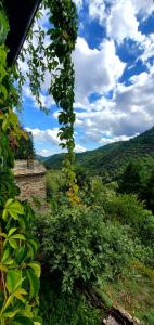 Gîte de Combelebouze en Cévennes - Cosy, Confort et Climatisé - 3 étoiles