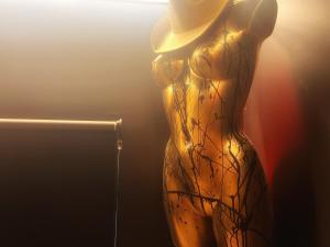 Love Room Luxure 50 Nuances