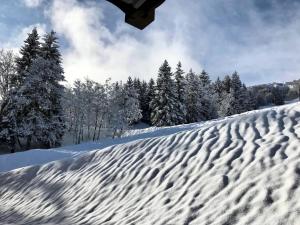 Résidence La Grange Aux Fees - GRANGE AUX FEES E09 BAT A MAE-6121