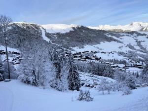 Appartements Residence Cheval Blanc G - CHEVAL BLANC 3 pieces mezzanine MAE-7321 : photos des chambres
