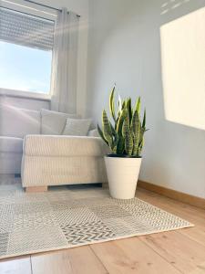 Family and Business Apartments Mannheim Three