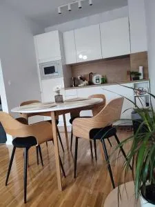 Apartment DIVA, private parking - 奥西耶克