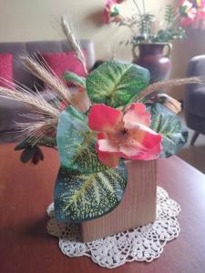 Departamento Puerto Azul via a la costa