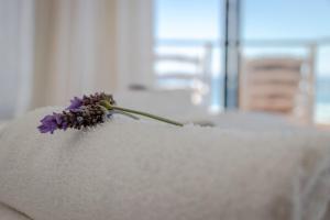 Scarborough Loft