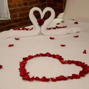 Chalé Romântico no Sana - Aconchego e Conforto - 萨纳