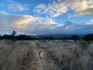 Country Retreat on 14 acres - Pozos