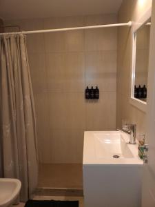 Monoambiente Amoblado