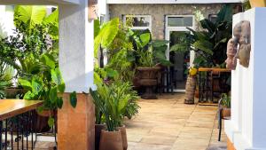 Quinta Alberto Boutique Hotel