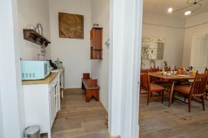 Casa Chapulín-Mexican Eclectic Home in Roma Norte