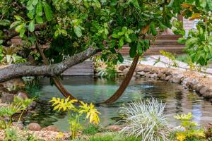 Casa do Lago em Alter do Chão