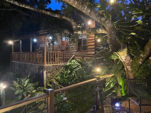 PROVENZA en Los Naranjos